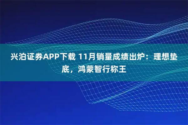 兴泊证券APP下载 11月销量成绩出炉：理想垫底，鸿蒙智行称王