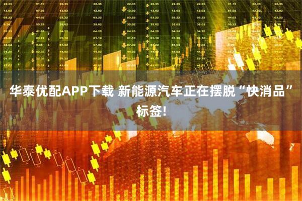华泰优配APP下载 新能源汽车正在摆脱“快消品”标签!
