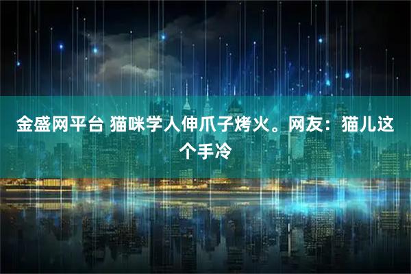 金盛网平台 猫咪学人伸爪子烤火。网友:猫儿这个手冷
