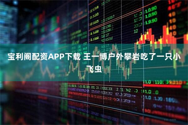 宝利阁配资APP下载 王一博户外攀岩吃了一只小飞虫