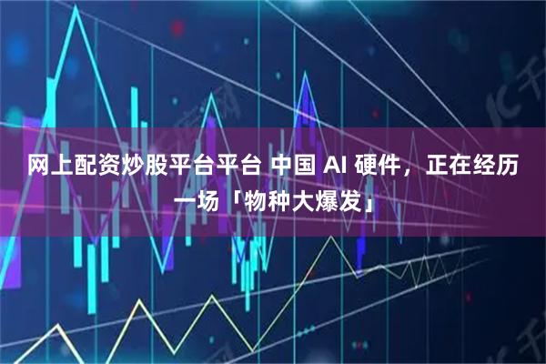 网上配资炒股平台平台 中国 AI 硬件,正在经历一场「物种大爆发」