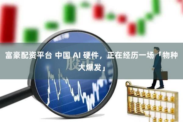 富豪配资平台 中国 AI 硬件,正在经历一场「物种大爆发」
