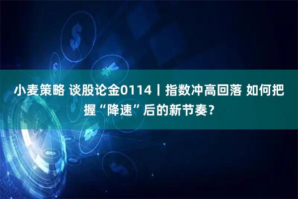 小麦策略 谈股论金0114丨指数冲高回落 如何把握“降速”后的新节奏？